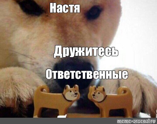 Собака ебитес оригинал