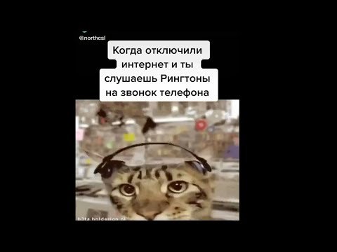 Кот в наушниках флексит