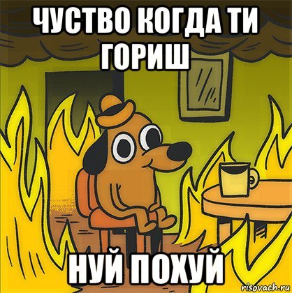 Its Fine Мем