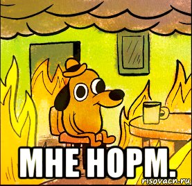Норм Мем собака