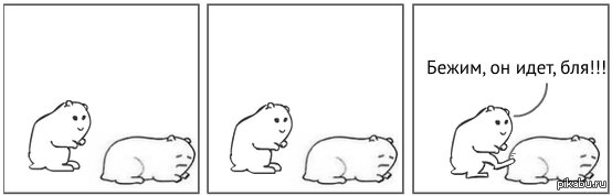 Человек пинает хомяка