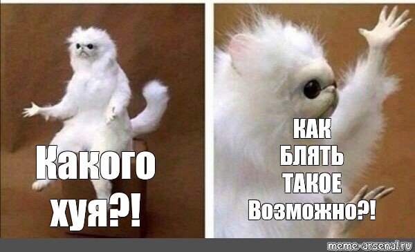 Чучело кота