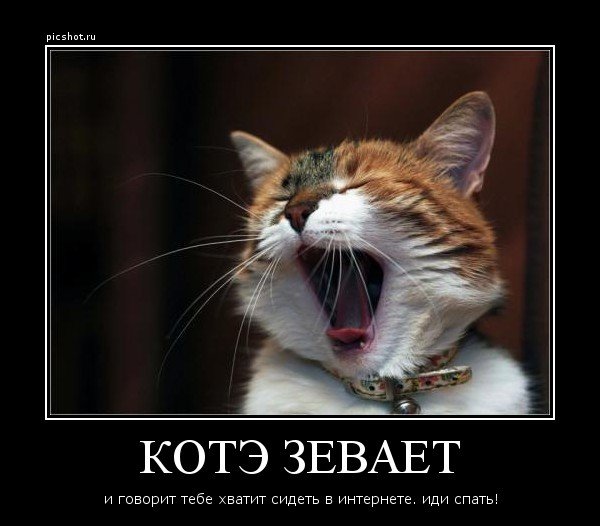 Кот зевает прикол