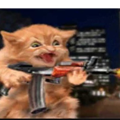 Кот стреляет