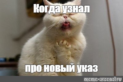 Белый котик Мем тошнит