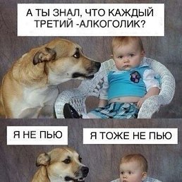 По статистике каждый третий Мем