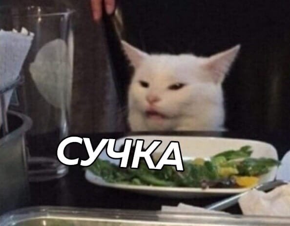 Кот с тарелкой Мем
