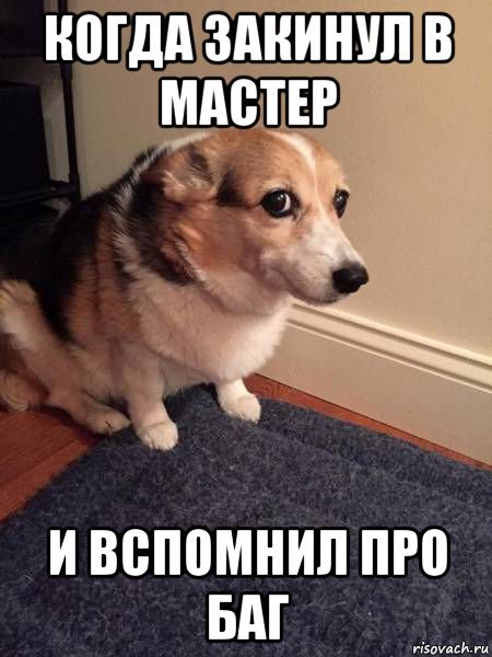 Мемы с собаками