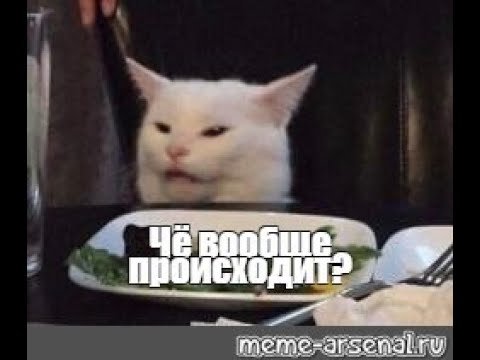 Мем с котом за столом