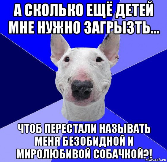 Мемы с собаками