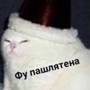 Кот фу Мем