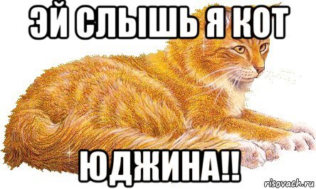 Кот Юджина