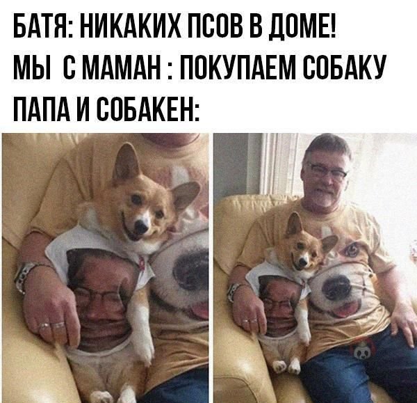 Батя никаких собак в доме Мем