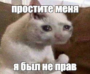 Хорошего дея котик Мем