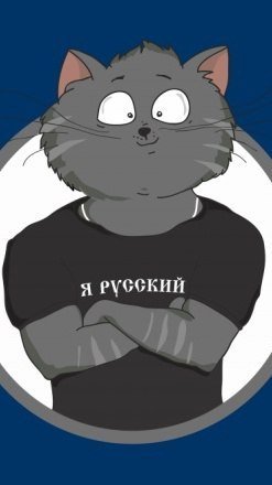 Я русский котенок