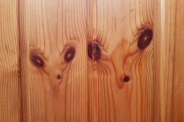 Дратути дерево