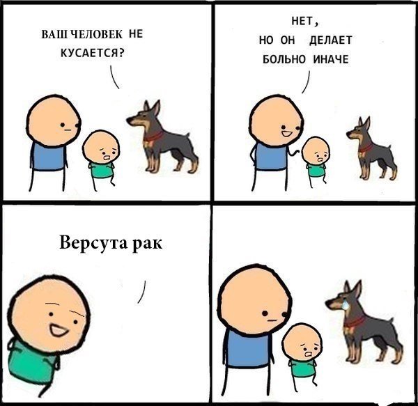 Ваша собака у нас