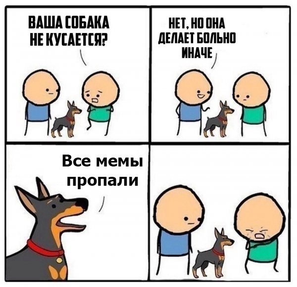 Мем ваша собака кусается нет она