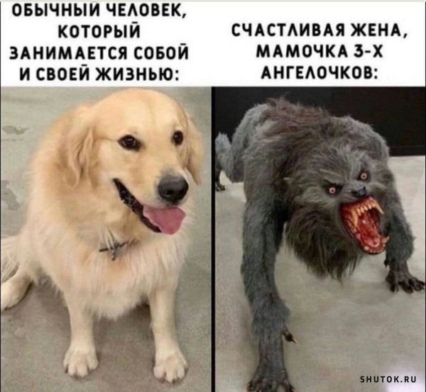 Злая и добрая собака Мем