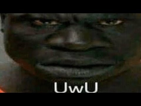 Чупапи муняня Мем