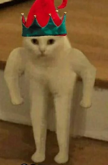 Кот на двух лапах Мем