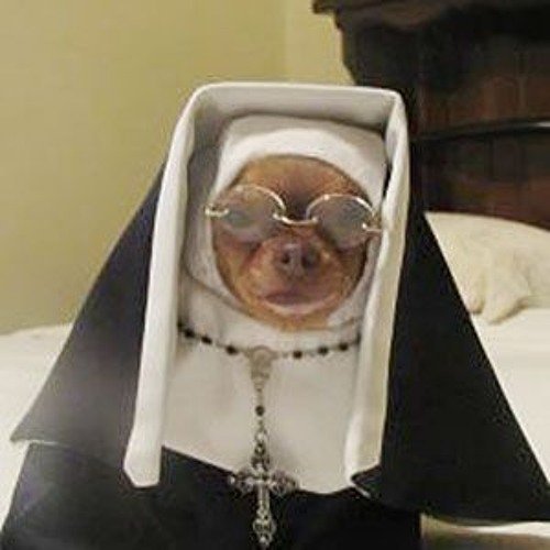 Смешные монашки