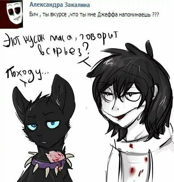 Коты Воители Бич Мем