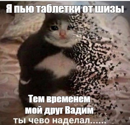 Мем исчещабшмй кот