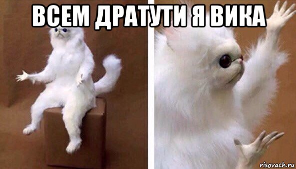 Чучело кота