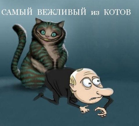 Вежливый кот Мем