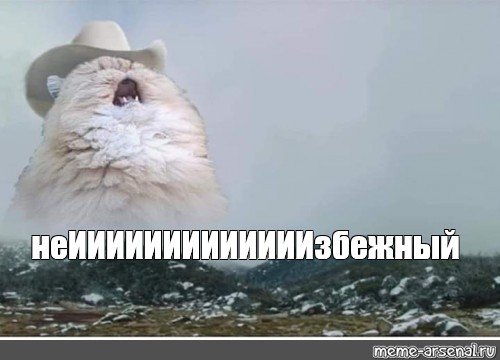 Кот орет в горах Мем