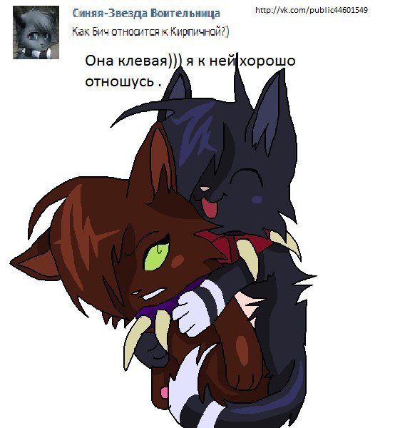 Коты Воители Бич и костяк