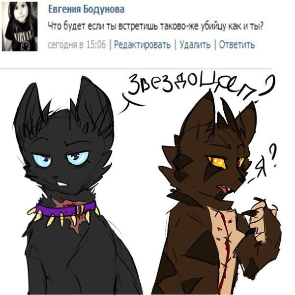 Звездоцап коты Воители хуманизация