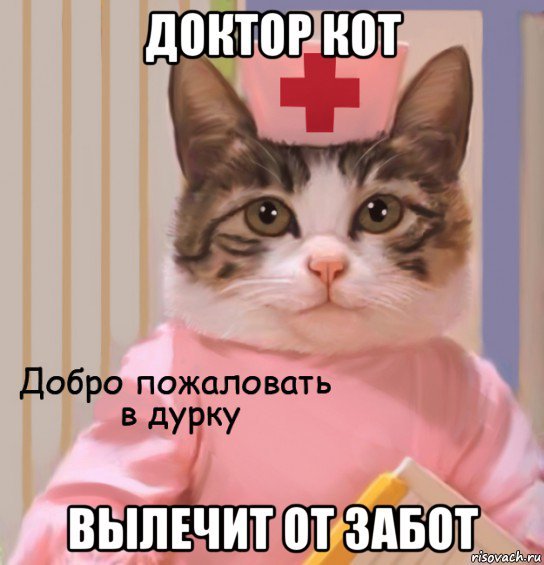 Медицинские мемы с котами