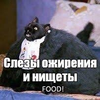 Толстый Салем