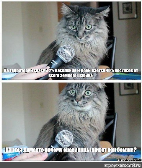 Кот интервью Мем