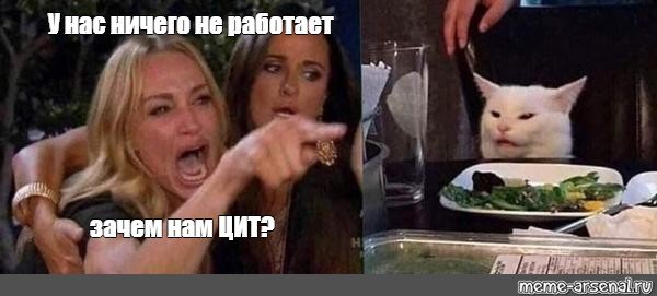 Мем кот и две девушки вертикально