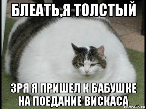 Жирные вздохи сожаления Мем