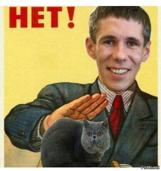 Панин и собака приколы