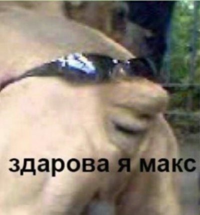 Здарова я Макс Мем