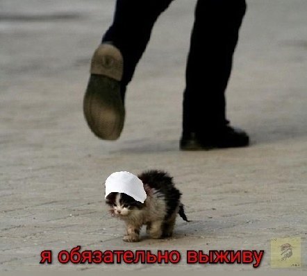 Я обязательно выживу Мем
