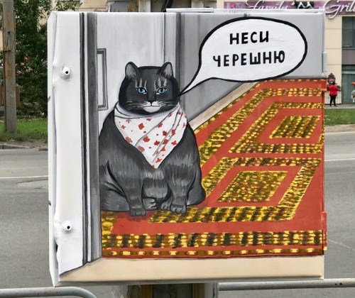 Неси черешню кот