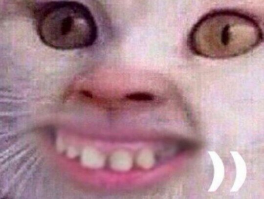 Кот с человеческой улыбкой Мем