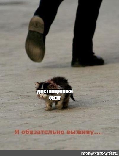 Я обязательно выживу в хорошем качестве