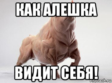 Смешные шутки про Алешу