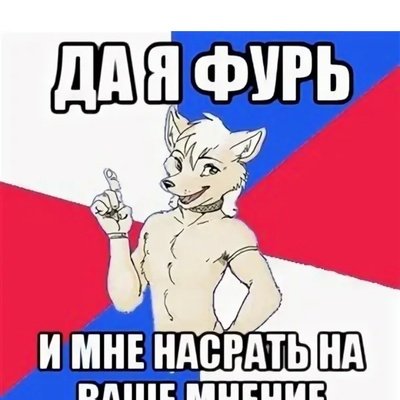 Furry мемы