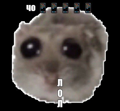 Плачущий кот