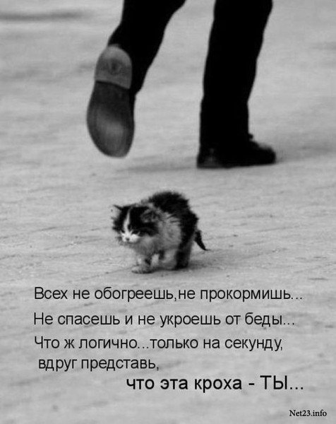 Я обязательно выжиживу