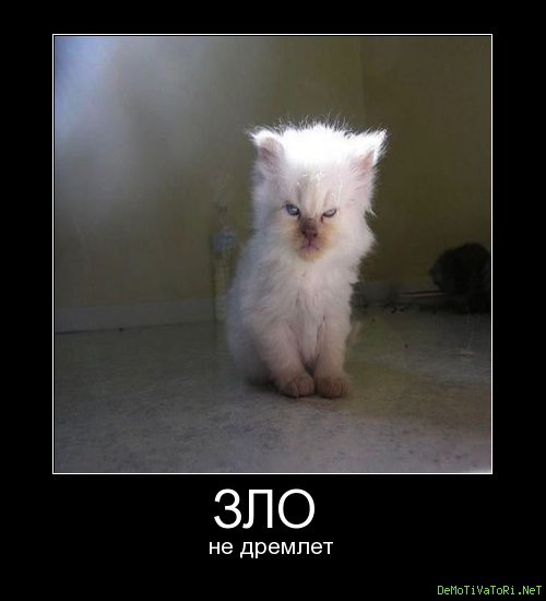 Демотиваторы злые