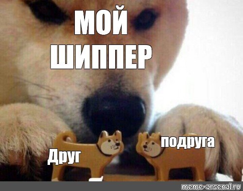 Собака шиппер